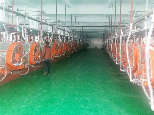 Single crystal rock sugar equipment.jpg